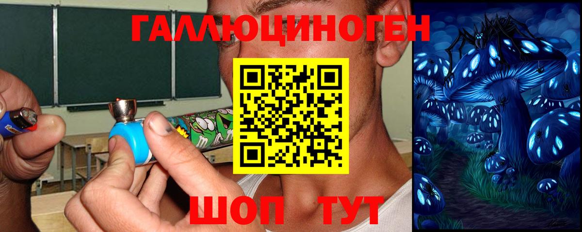 Менделеевск  Псилоцибиновые грибы Magic Shrooms  Вход с VPN 