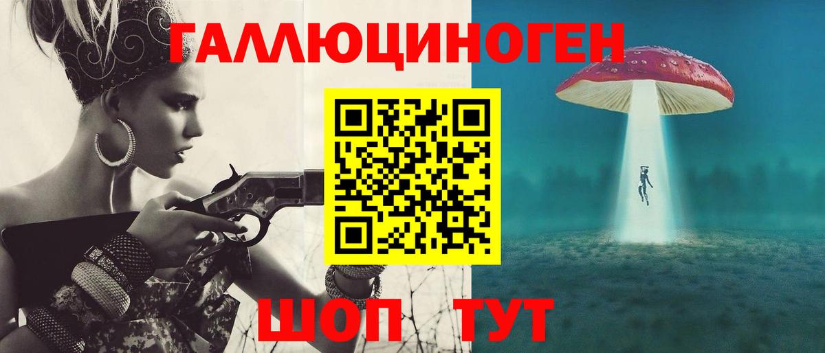 Псилоцибиновые грибы Psilocybine cubensis Менделеевск